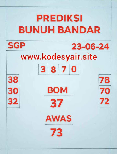 SYAIR SGP VIP